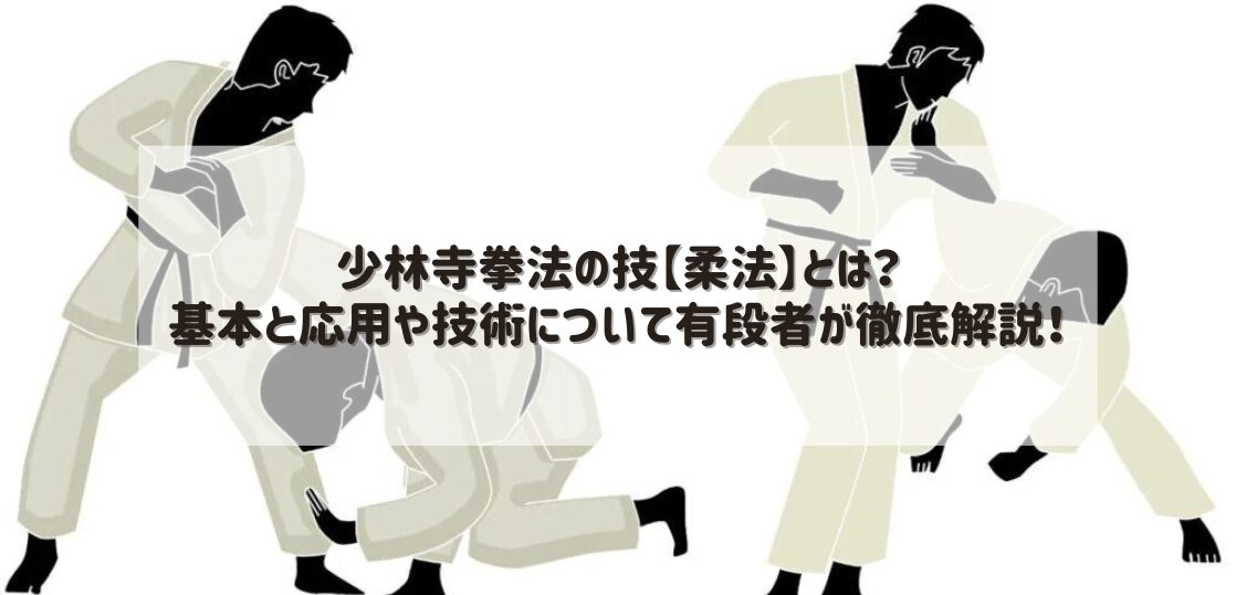 少林寺拳法の技【柔法】とは？基本と応用や技術について有段者が徹底解説！ | 武道・道場ナビ