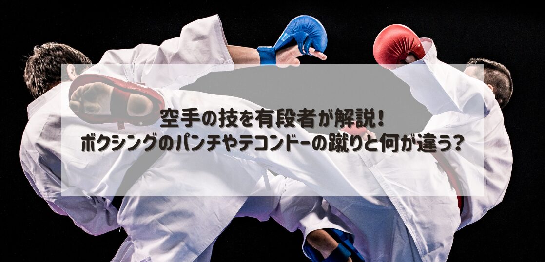 空手の技を有段者が解説！ボクシングのパンチやテコンドーの蹴りと何が違う？ | 武道・道場ナビ