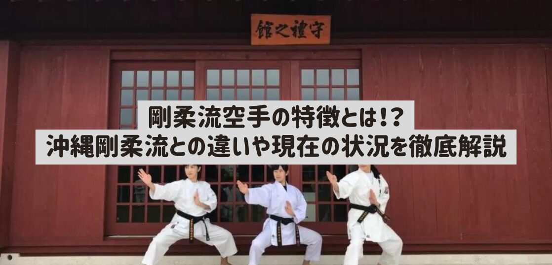 剛柔流空手の特徴とは！？沖縄剛柔流との違いや現在の状況を徹底解説 | 武道・道場ナビ